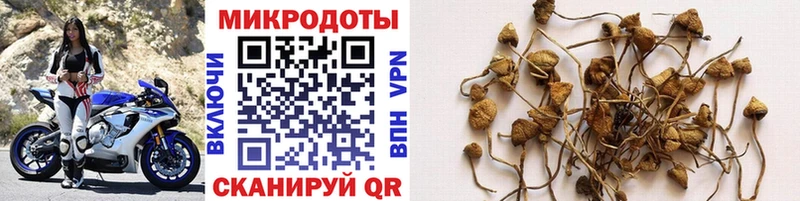Псилоцибиновые грибы Magic Shrooms  Яхрома 
