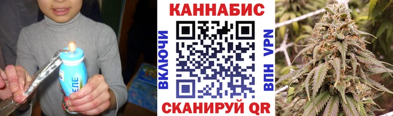 блэк спрут как войти  Яхрома  Бошки Шишки White Widow  цены  